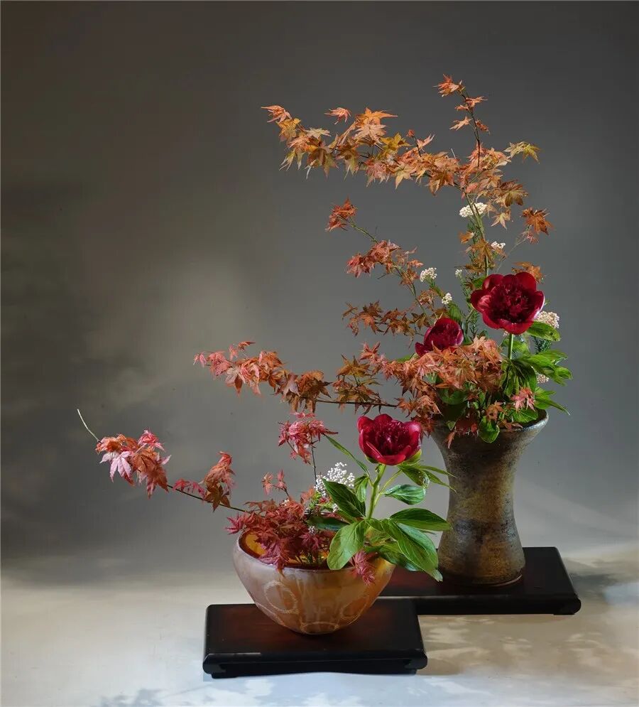 王国忠：插花不能只重形式而缺乏人文精神