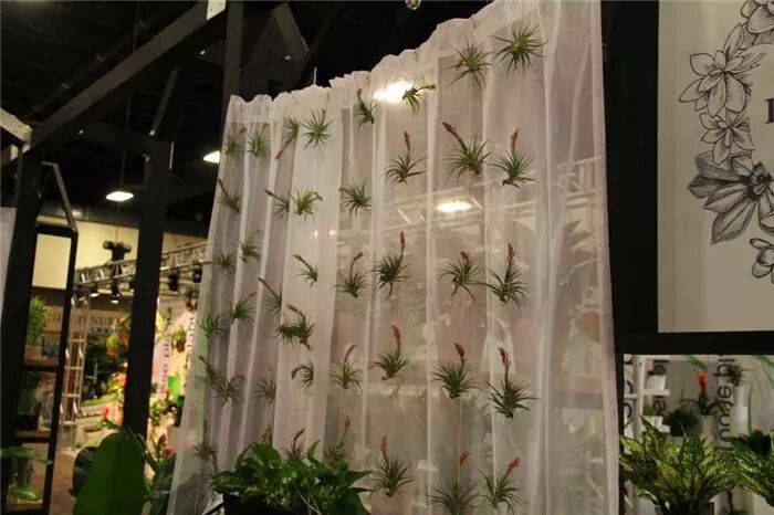 真会玩！2019美国热带植物展盆栽产品创意无限