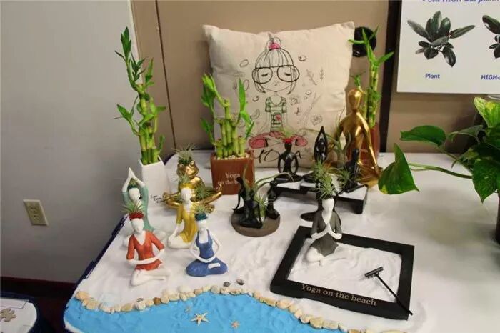 真会玩！2019美国热带植物展盆栽产品创意无限