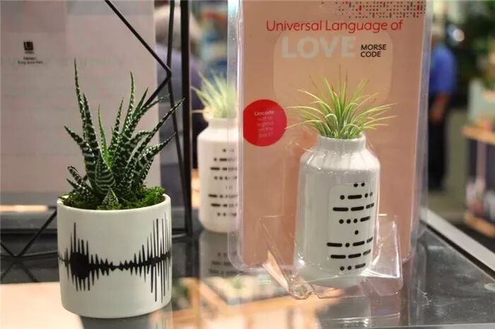 真会玩！2019美国热带植物展盆栽产品创意无限