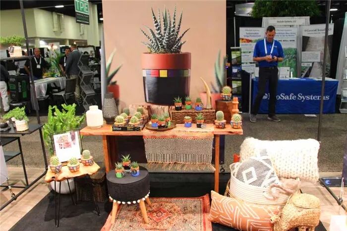 真会玩！2019美国热带植物展盆栽产品创意无限