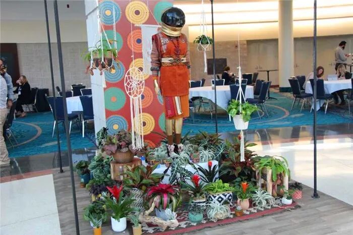 真会玩！2019美国热带植物展盆栽产品创意无限