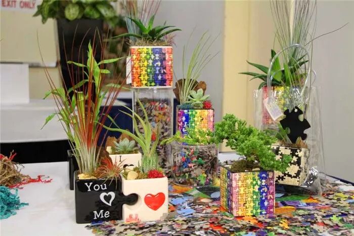 真会玩！2019美国热带植物展盆栽产品创意无限