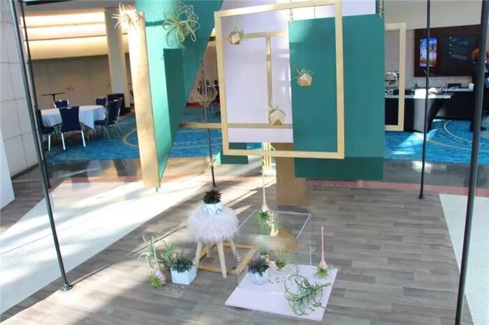 真会玩！2019美国热带植物展盆栽产品创意无限