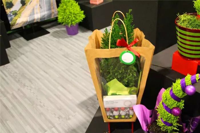 真会玩！2019美国热带植物展盆栽产品创意无限