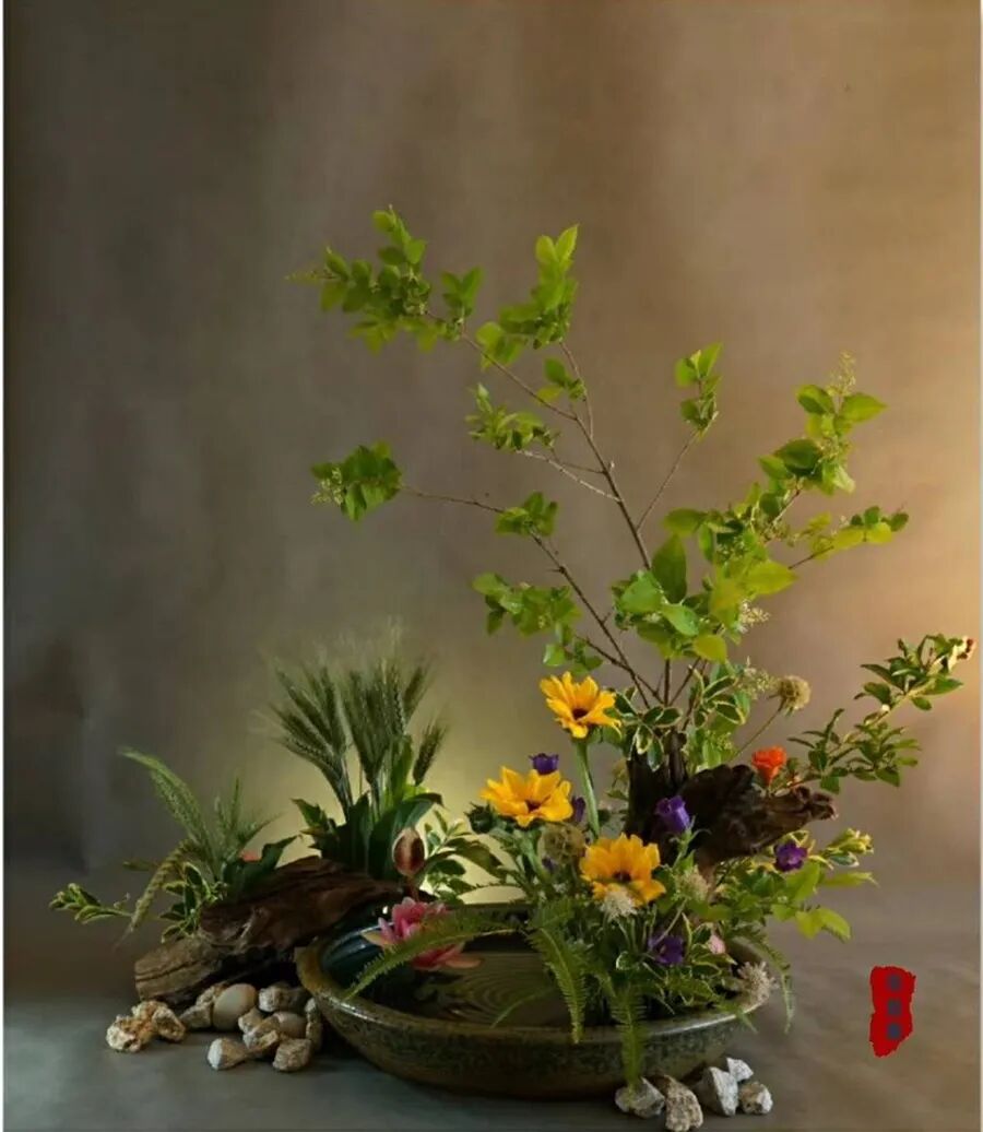 只记花开不记年—苏梅邨插花艺术欣赏