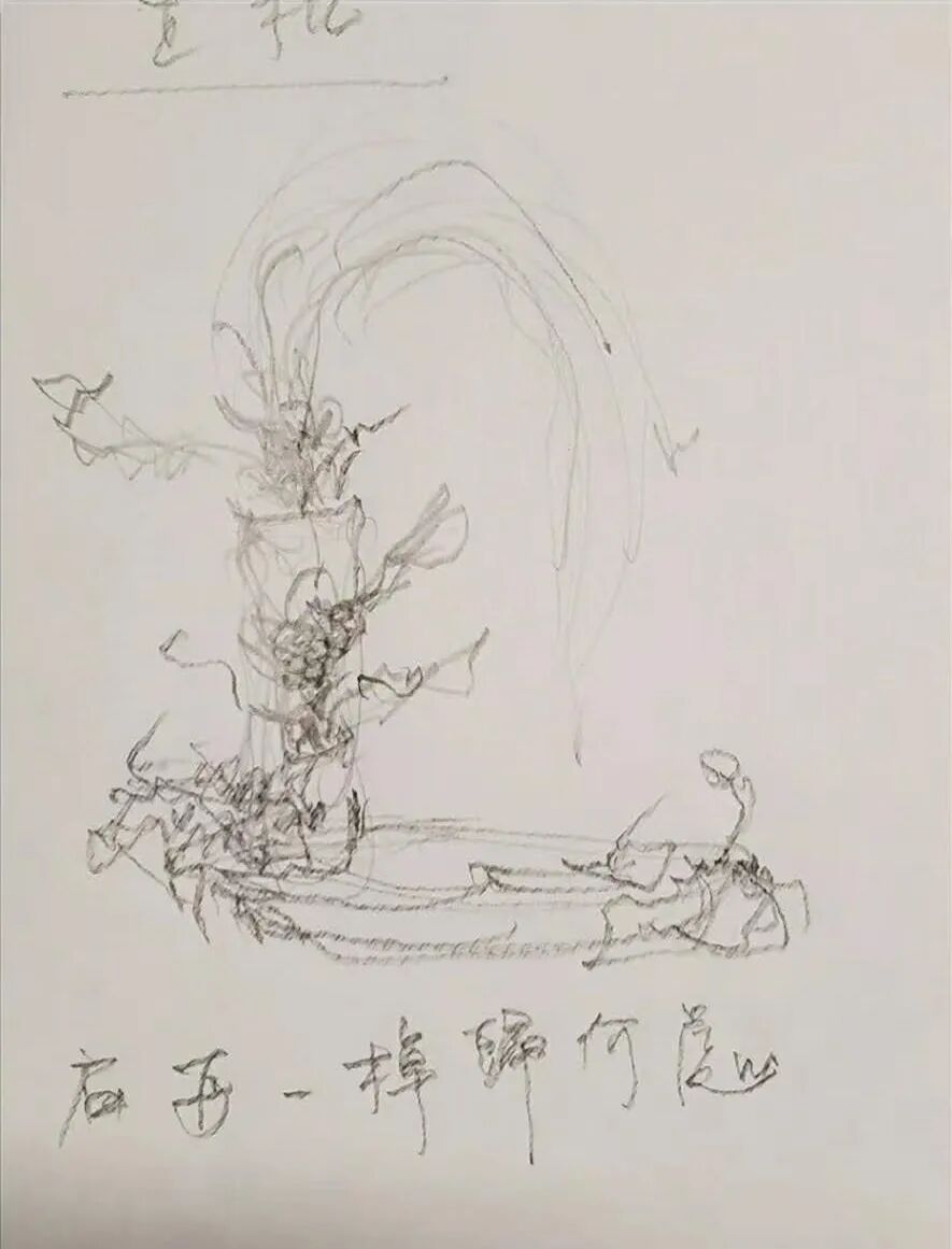 只记花开不记年—苏梅邨插花艺术欣赏
