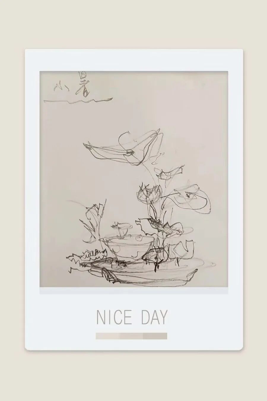 只记花开不记年—苏梅邨插花艺术欣赏