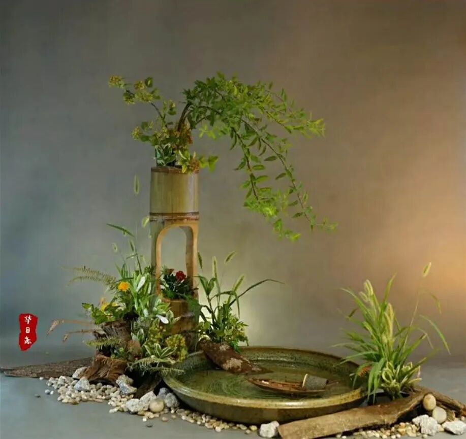 只记花开不记年—苏梅邨插花艺术欣赏