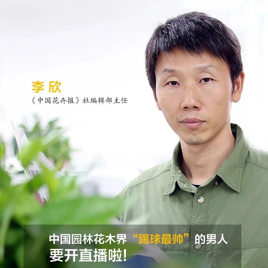 微信公众号中国花卉报 Cfnnews 最新文章 微信公众号文章阅读 Wemp