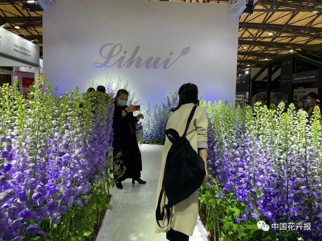 上海国际花展上刷爆朋友圈的 网红 展位 长什么样 中国花卉报 微信公众号文章阅读 Wemp