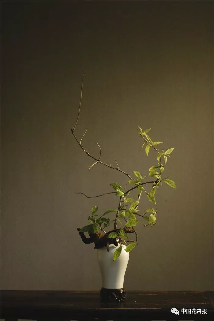  立秋之際 插花與瓷器更配哦！