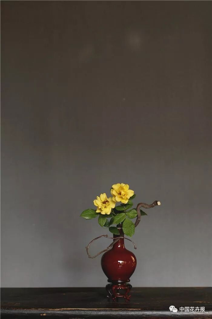  立秋之際 插花與瓷器更配哦！