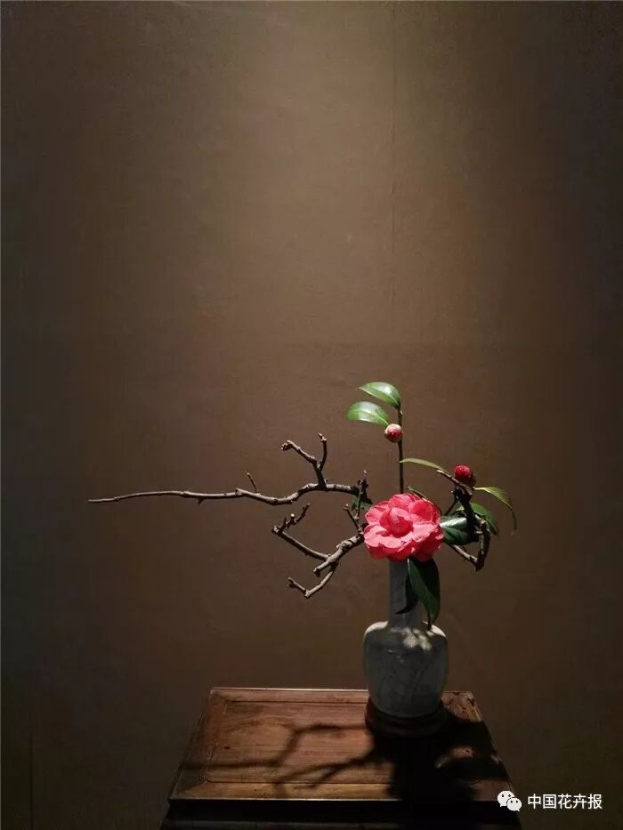  立秋之際 插花與瓷器更配哦！