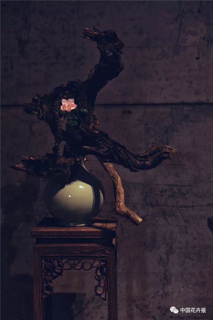  立秋之際 插花與瓷器更配哦！