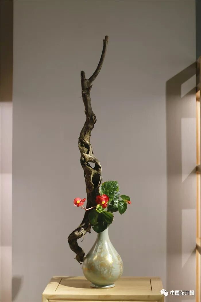  立秋之際 插花與瓷器更配哦！