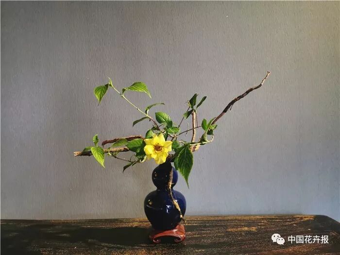  立秋之際 插花與瓷器更配哦！