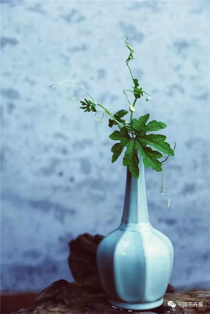  立秋之際 插花與瓷器更配哦！