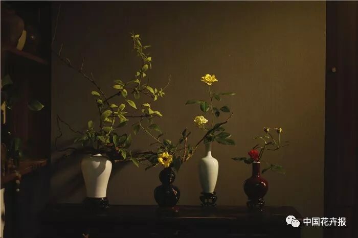  立秋之際 插花與瓷器更配哦！