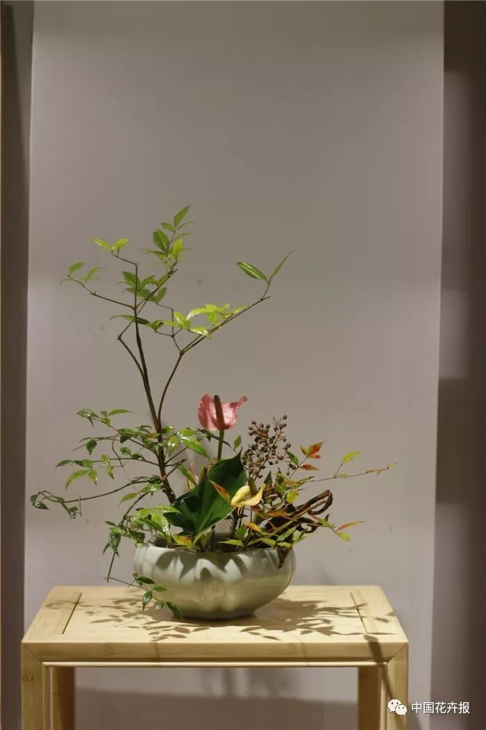  立秋之際 插花與瓷器更配哦！