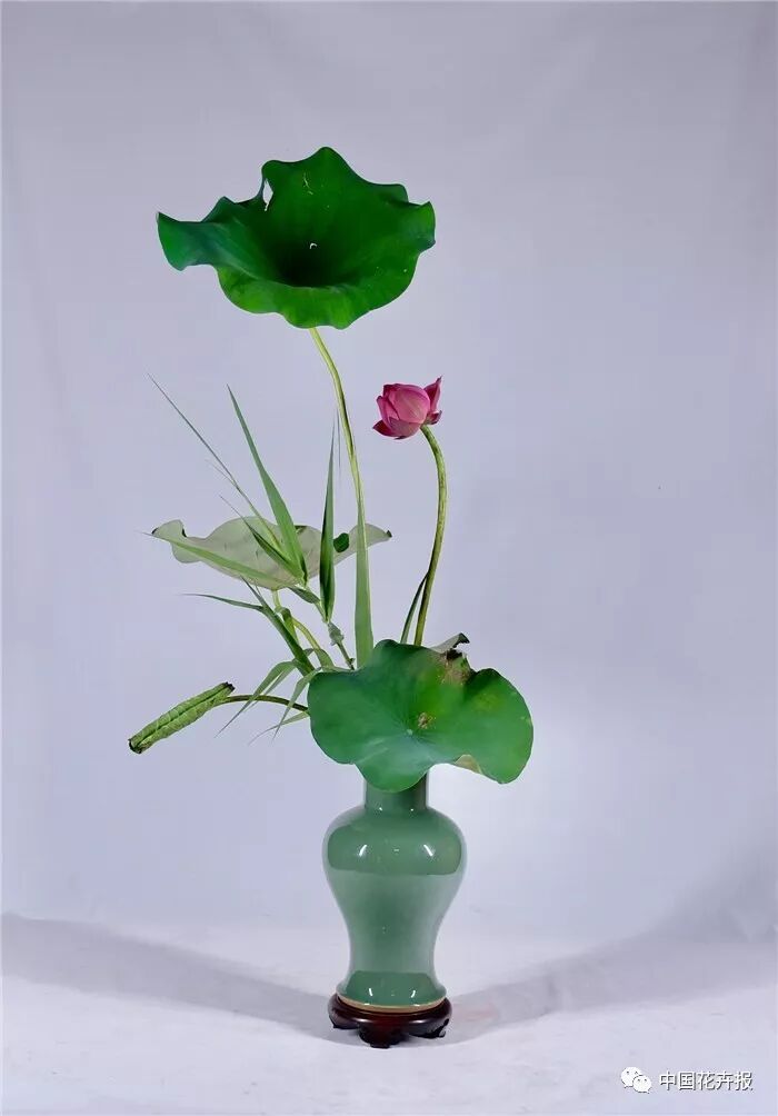  立秋之際 插花與瓷器更配哦！