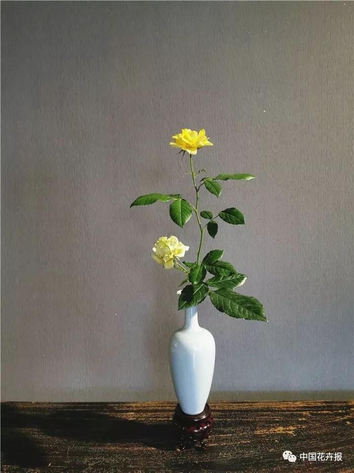  立秋之際 插花與瓷器更配哦！