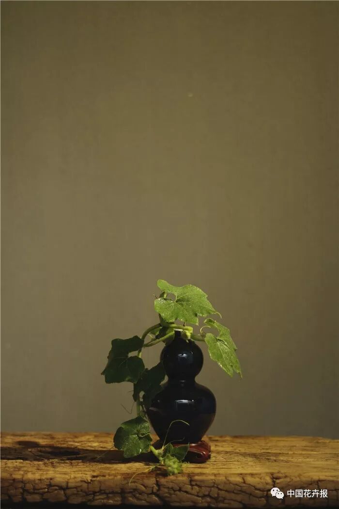  立秋之際 插花與瓷器更配哦！