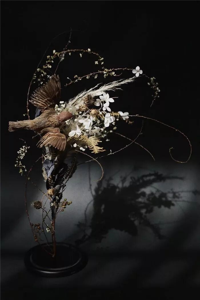 凡是你看不懂而著迷的作品，背后都是想象力！