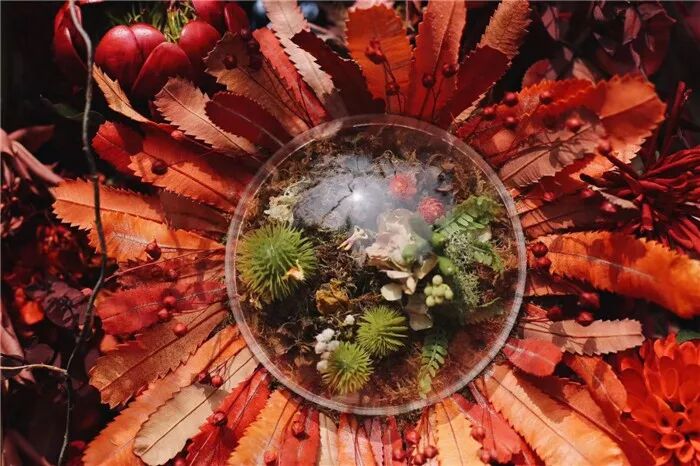 凡是你看不懂而著迷的作品，背后都是想象力！