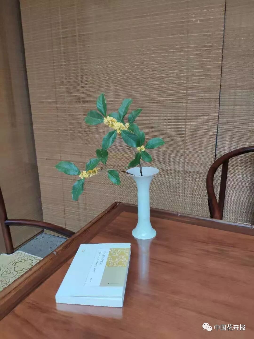 若無(wú)一枝桂 何以賞中秋