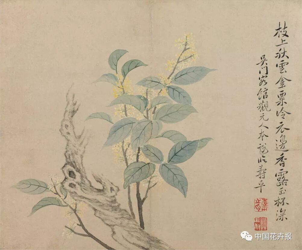 若無(wú)一枝桂 何以賞中秋