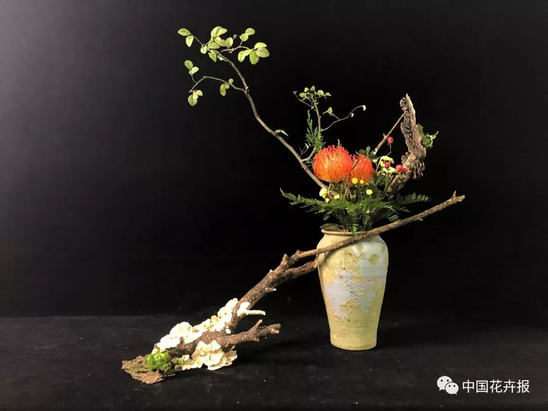 【采薇专栏】读明代瓶花专著心得之（一） ——择瓶