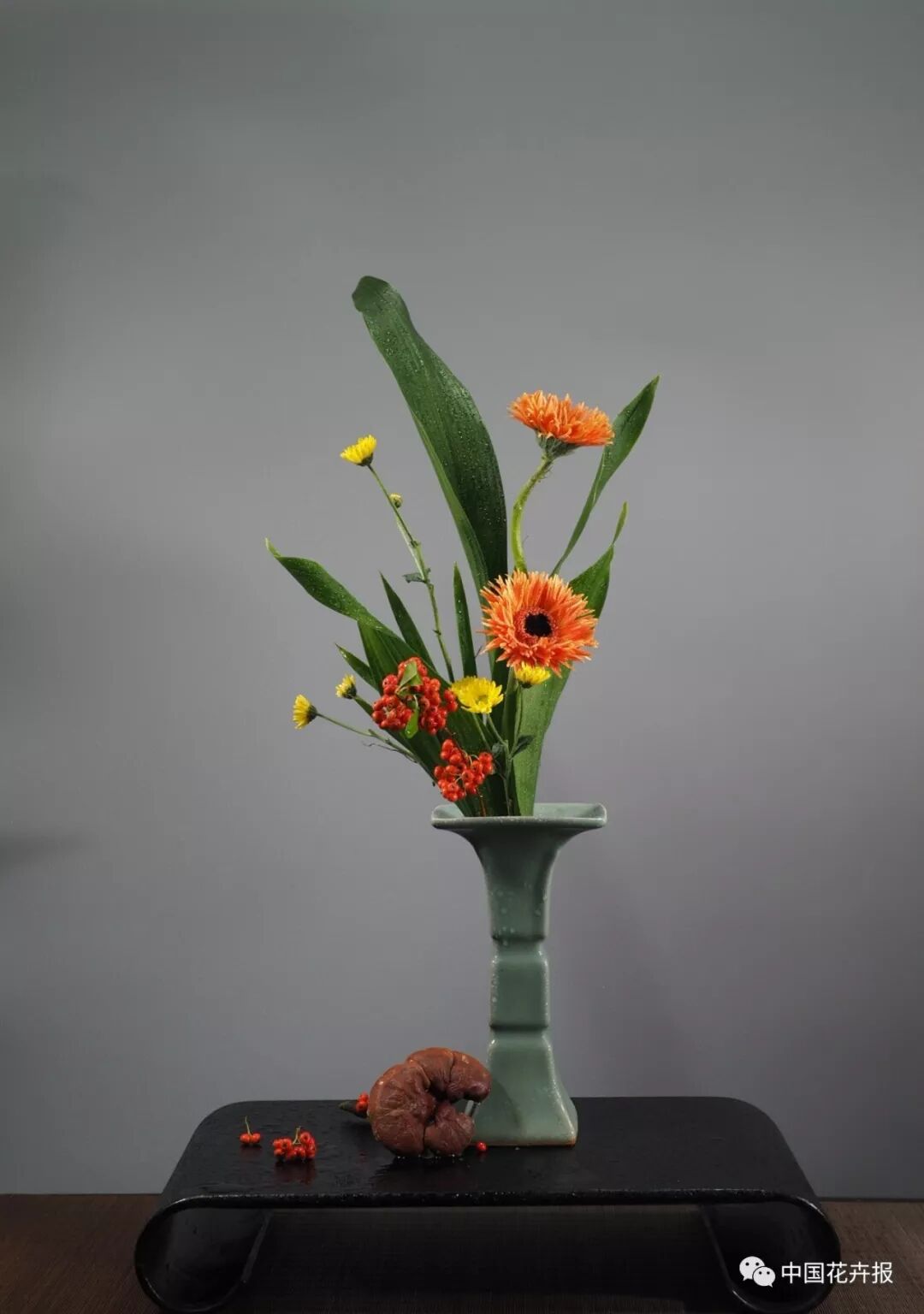 【采薇专栏】读明代瓶花专著心得之（一） ——择瓶