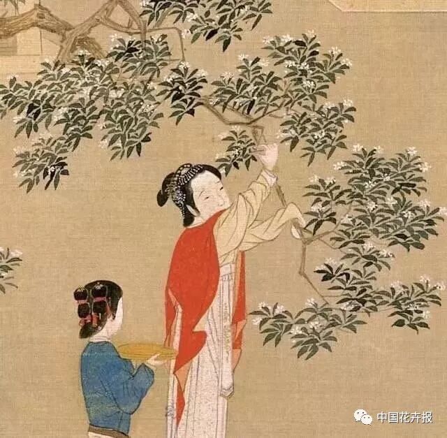 秋日插花 楓、桂、菊各有古意 