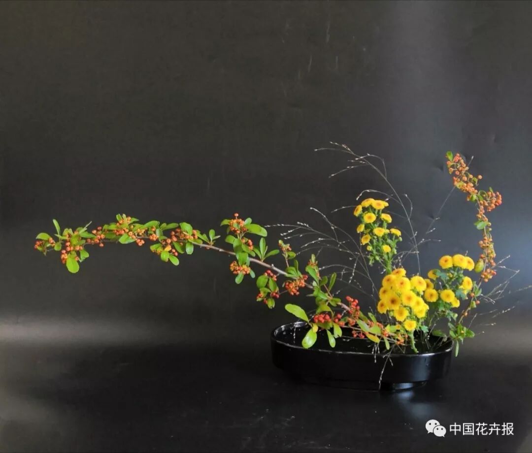 秋日插花 楓、桂、菊各有古意 