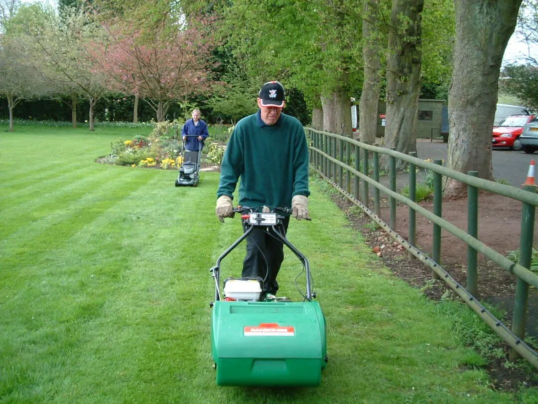用最少的钱达到良好的治疗效果，草坪病害对症治疗有妙招儿