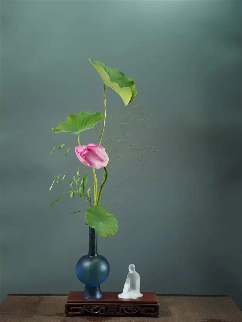 守得莲开结伴游