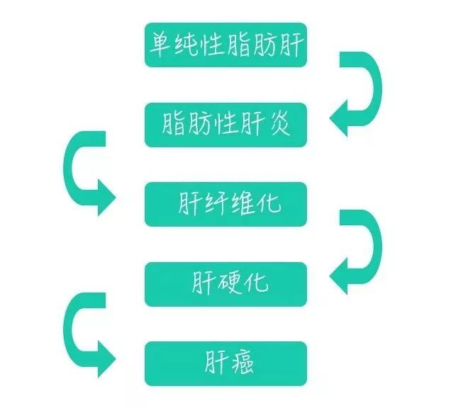 脂肪肝拖延不治肝硬化不可逆！合理使用多烯磷脂酰膽堿治療！ 健康 第3張