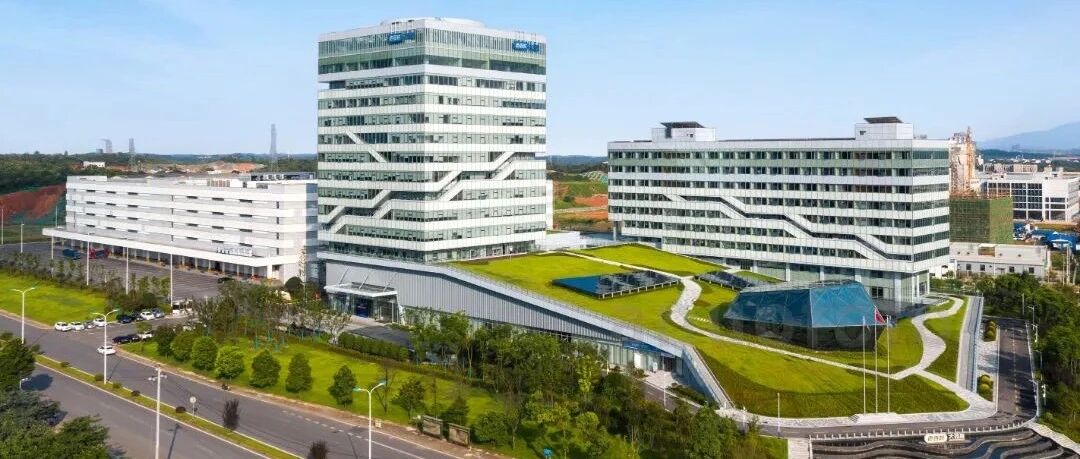 千遇千寻 | “双11”你的钱包我来守护，老百姓大药房全国热招岗位，等您来推荐