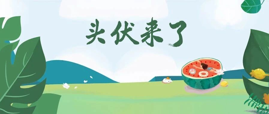 头伏第一天养生很重要！三伏天千万别做这7件事