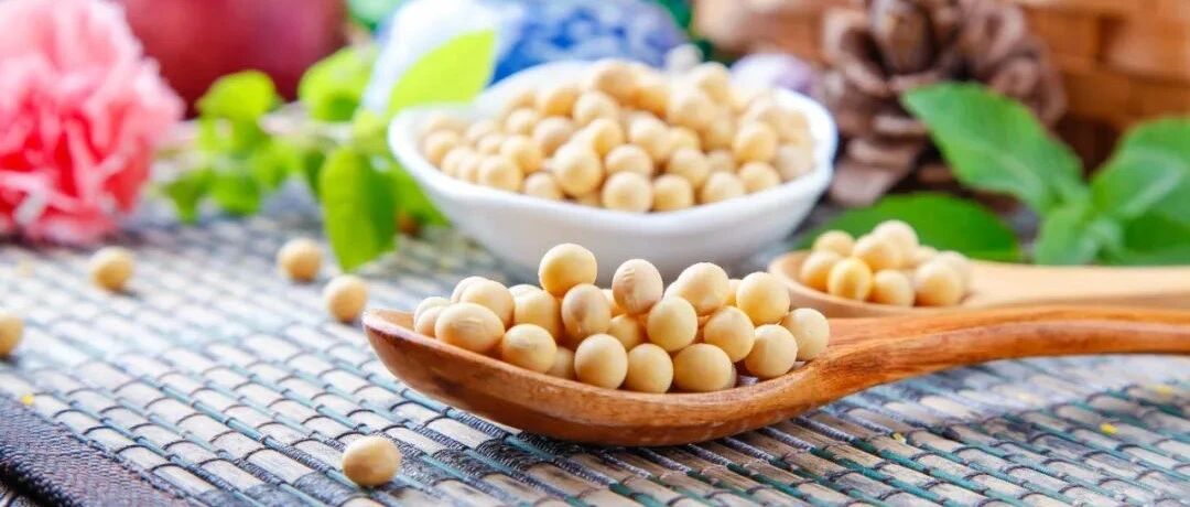 预防动脉粥样硬化要这样吃，吃出健康不是梦！