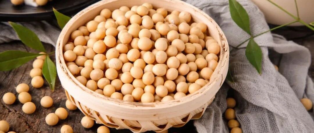 坚持吃大豆，还能预防阿尔茨海默病？