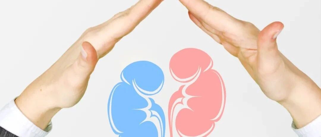 世界肾脏日，4步助你保护肾脏健康