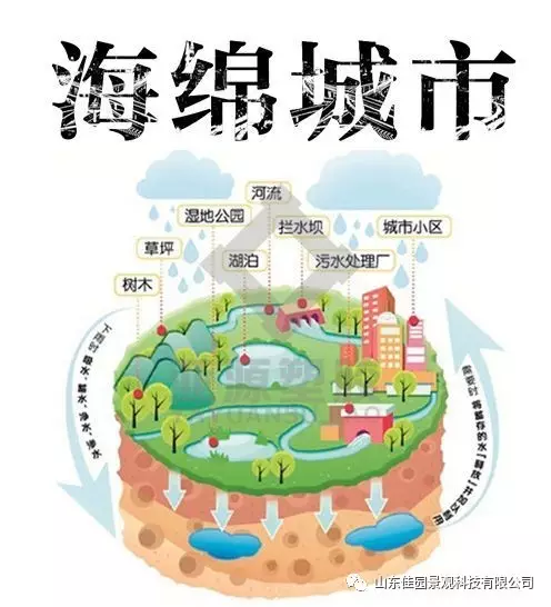 海绵城市与透水混凝土|新闻中心-山东佳园景观科技有限公司 . 海绵城市与透水混凝土|新闻中心-山东佳园景观科技有限公司 .