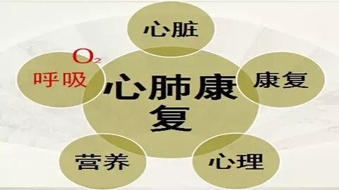 为什么人需要氧气氧气对身体的重要性_https://www.jmylbn.com_新闻资讯_第6张