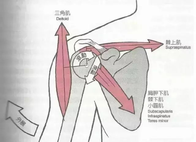 健身時，關節發出響聲正常嗎？ 運動 第12張