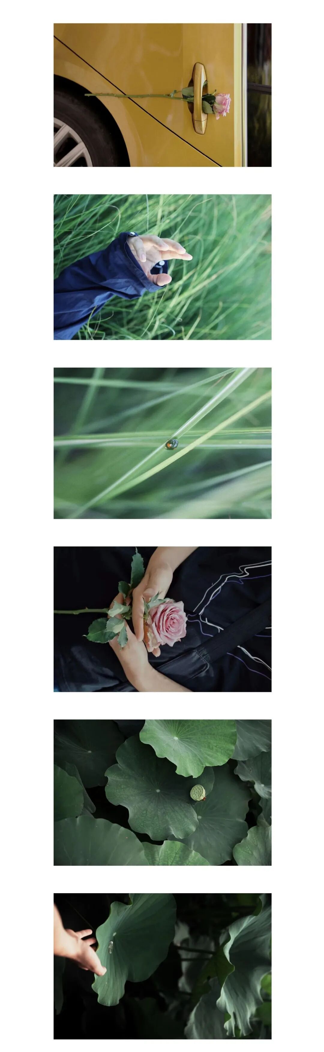 补贴补贴万元稳岗旅游来啦企业最高住餐相关细则批零蜀山区实施