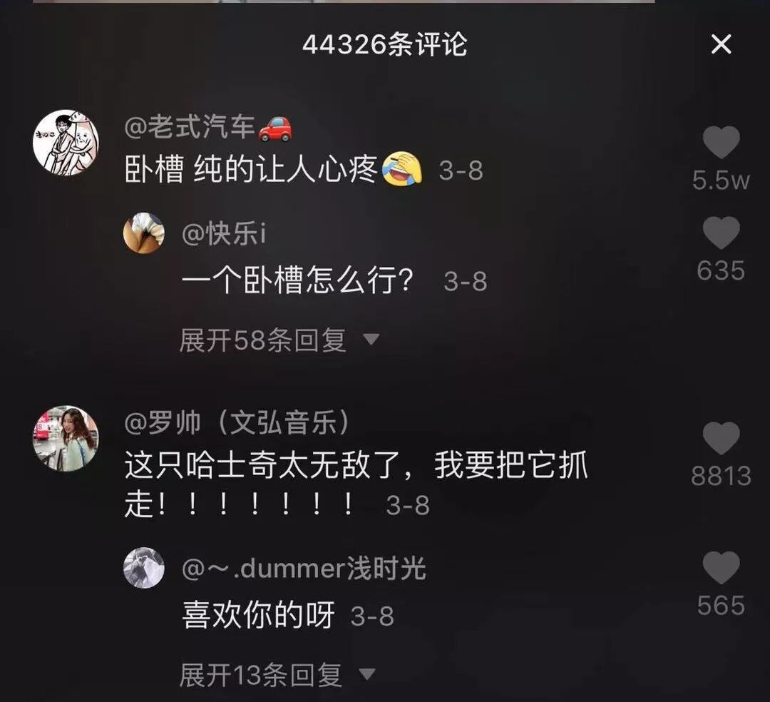 抖音英文歌曲红网2018版_网红歌曲2018抖音英文_网红歌曲英文2019抖音