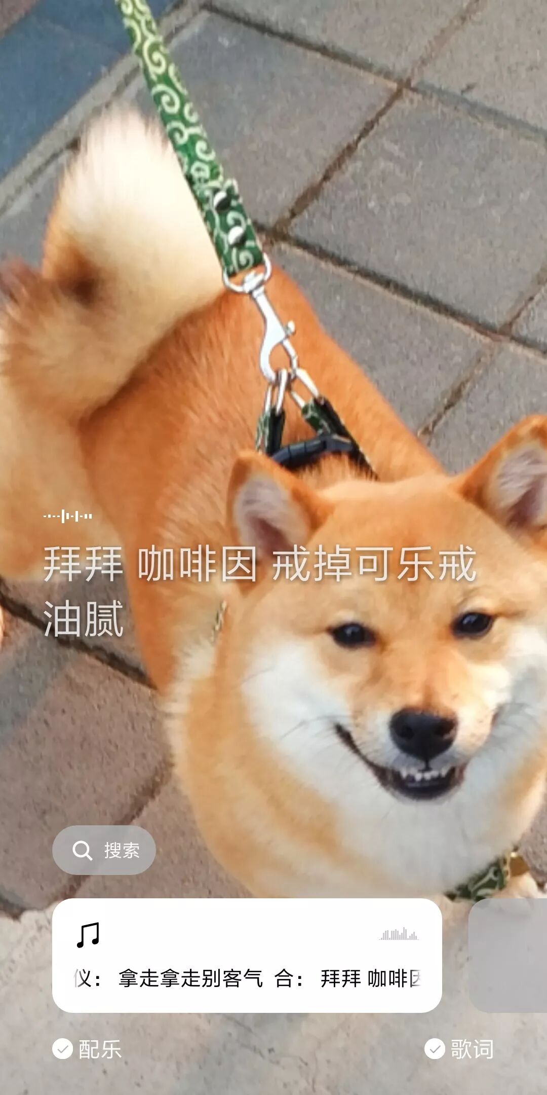 公众号介绍能不能改_公众号功能介绍可以改吗_公众改介绍功能号可以改吗