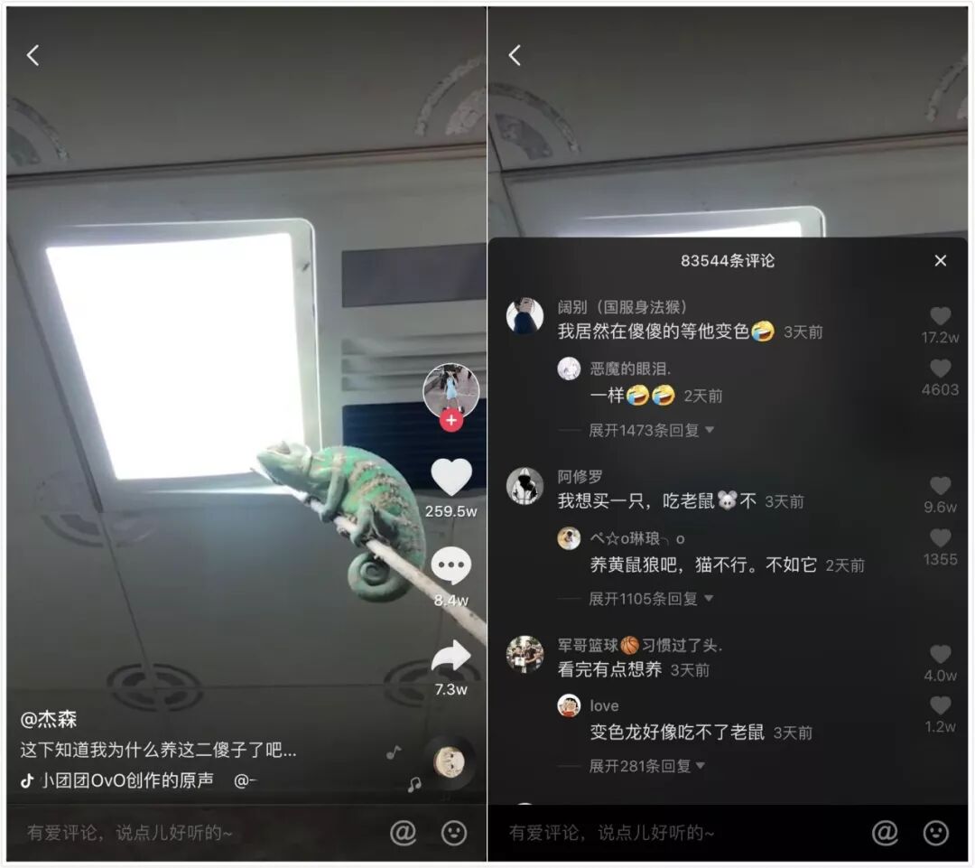 抖音特效音_抖音特效官网_抖音玛法传奇手游官网